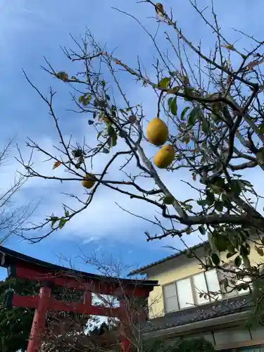 久之浜諏訪神社の鳥居