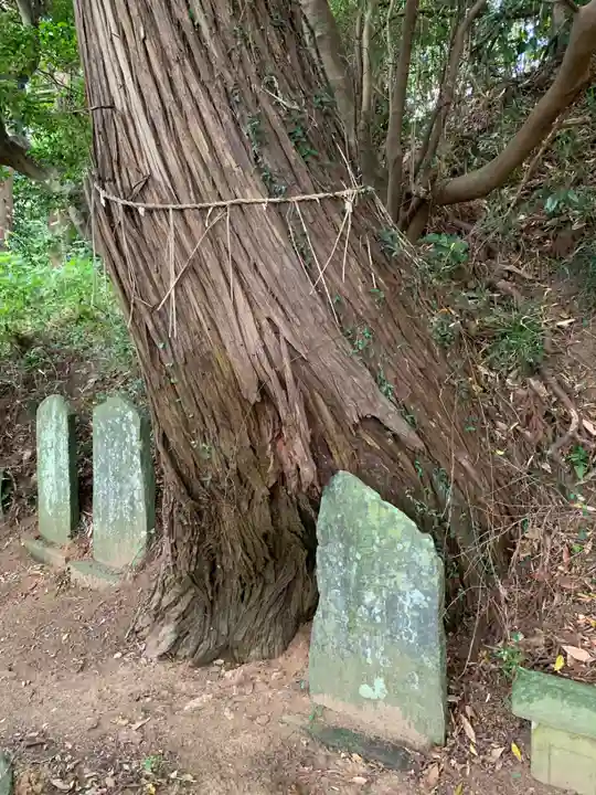 星勝神社(千葉県)