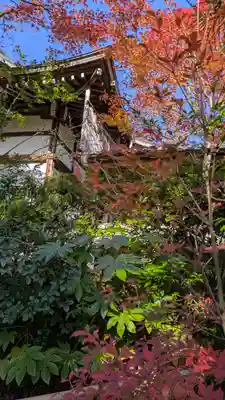 光悦寺(京都府)