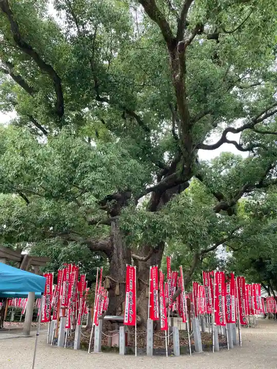 住吉大社の自然