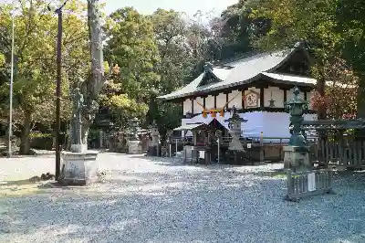 闘鶏神社の本殿・本堂