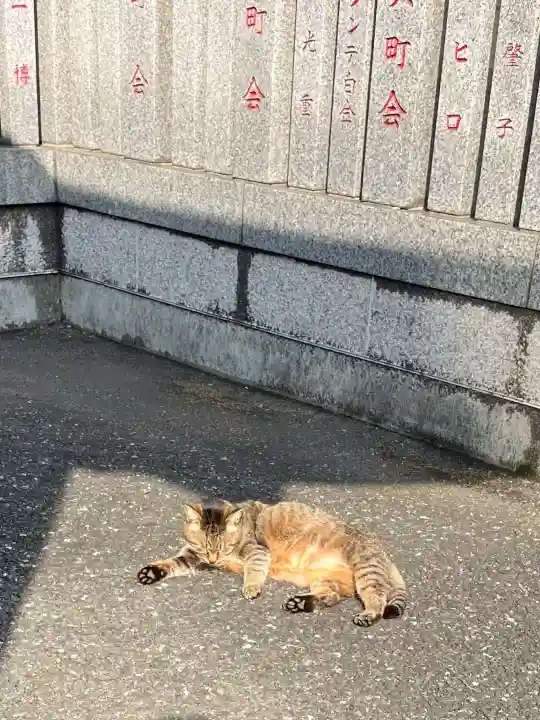 白金氷川神社の{uncategorized: "未分類", other: "その他", undefined: "問題あり", building: "その他建物", grave: "お墓", sacred_gate: "鳥居", guardian: "狛犬", statue: "像", buddha: "仏像", history: "歴史", nature: "自然", garden: "庭園", animal: "動物", pagoda: "塔", temizu: "手水舎", mountain_gate: "山門・神門", sanctuary: "本殿・本堂", subordinate: "末社・摂社", art: "芸術", scenery: "景色", jizo: "地蔵", ema: "絵馬", goshuin: "御朱印", omikuji: "おみくじ", items: "授与品その他", amulet: "お守り", goshuincho: "御朱印帳", eats: "食事", festival: "お祭り", votive_dance: "神楽", shichigosan: "七五三参", wedding: "結婚式", experience: "体験その他", initially: "初詣", around: "周辺", anti_infection: "感染症対策"}
