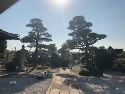 法源寺のその他建物