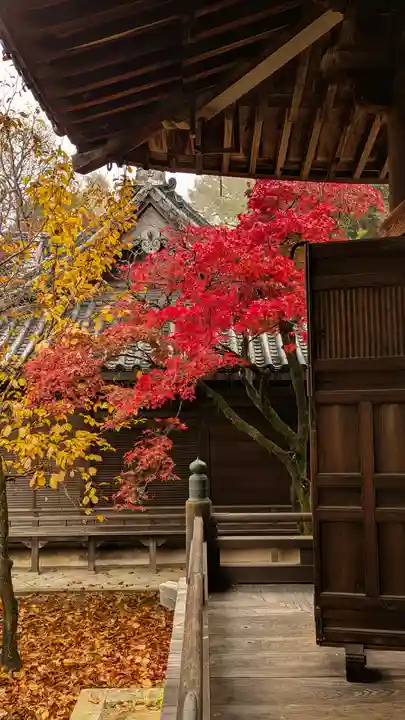 観音寺(山崎聖天)(京都府)