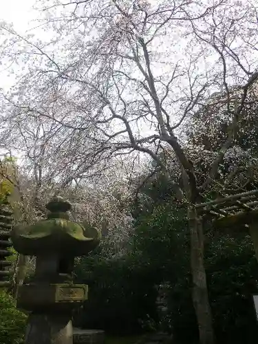 安國論寺（安国論寺）の自然