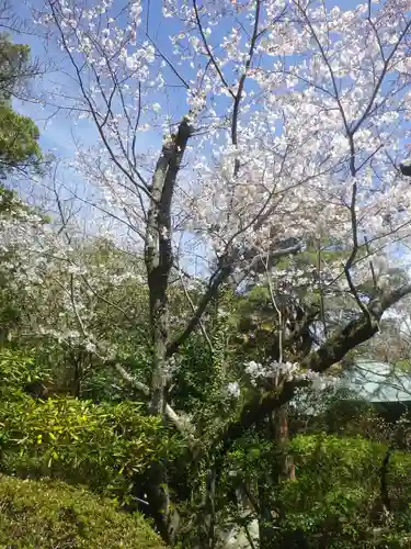 浄光明寺の自然