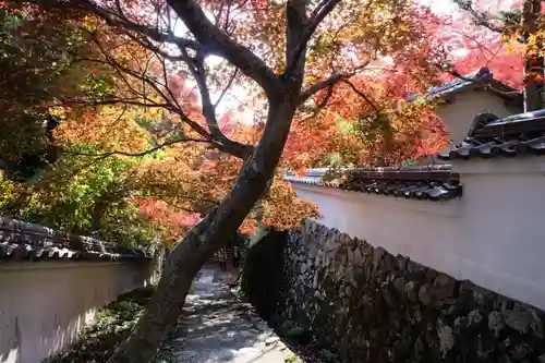 勝持寺（花の寺）(京都府)