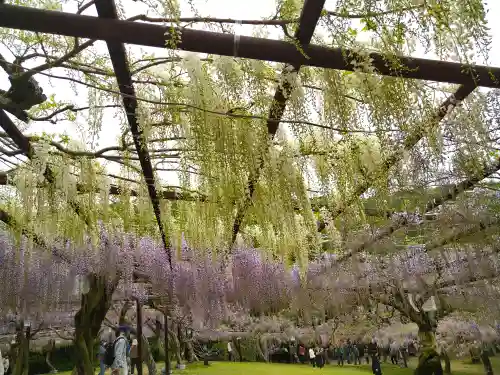 和氣神社（和気神社）の自然