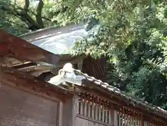 細江神社(静岡県)