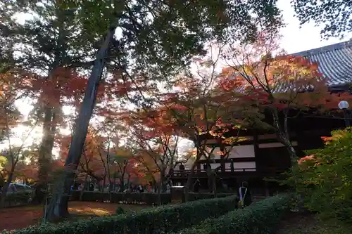 真正極楽寺（真如堂）(京都府)