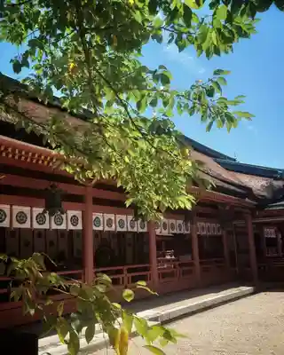 津島神社の本殿・本堂