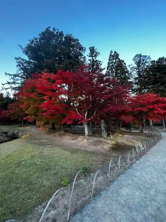 毛越寺(岩手県)
