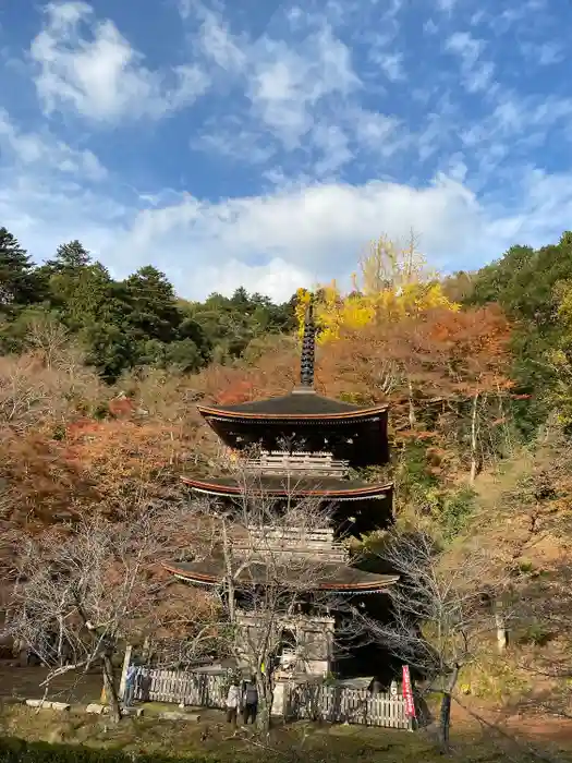 金剛院の建物その他