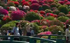 根津神社の自然