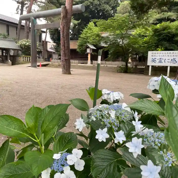 埼玉縣護國神社(埼玉県)