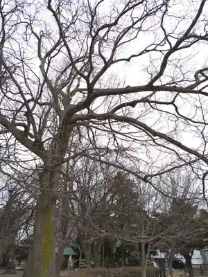 厚別神社(北海道)