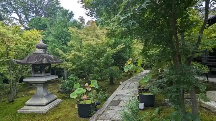 勝林寺(京都府)