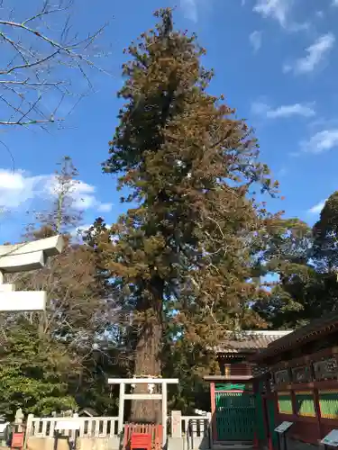 大杉神社のその他建物