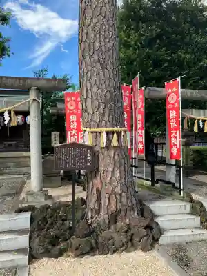 中野沼袋氷川神社(東京都)