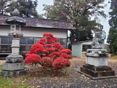 熊野奥照神社(青森県)