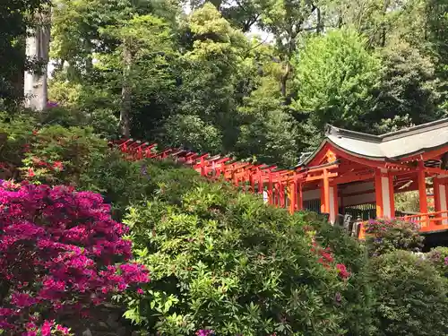 根津神社(東京都)