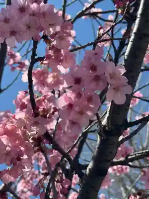 阿邪訶根神社の{uncategorized: "未分類", other: "その他", undefined: "問題あり", building: "その他建物", grave: "お墓", sacred_gate: "鳥居", guardian: "狛犬", statue: "像", buddha: "仏像", history: "歴史", nature: "自然", garden: "庭園", animal: "動物", pagoda: "塔", temizu: "手水舎", mountain_gate: "山門・神門", sanctuary: "本殿・本堂", subordinate: "末社・摂社", art: "芸術", scenery: "景色", jizo: "地蔵", ema: "絵馬", goshuin: "御朱印", omikuji: "おみくじ", items: "授与品その他", amulet: "お守り", goshuincho: "御朱印帳", eats: "食事", festival: "お祭り", votive_dance: "神楽", shichigosan: "七五三参", wedding: "結婚式", experience: "体験その他", initially: "初詣", around: "周辺", anti_infection: "感染症対策"}