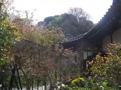光則寺のその他建物