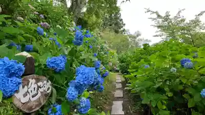 普門寺(岡山県)