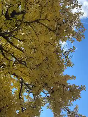川内八幡宮(青森県)