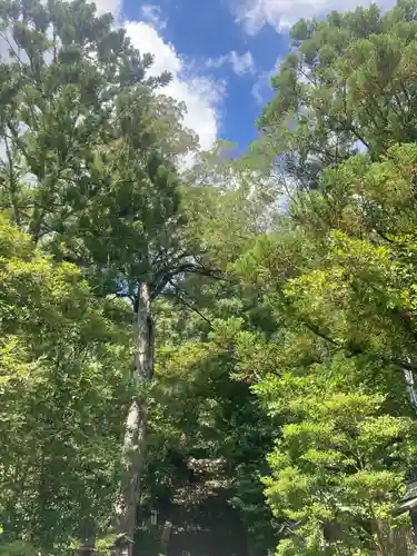 葛城一言主神社(奈良県)