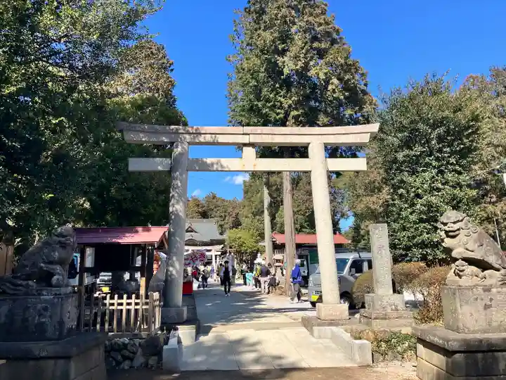 出雲伊波比神社(埼玉県)