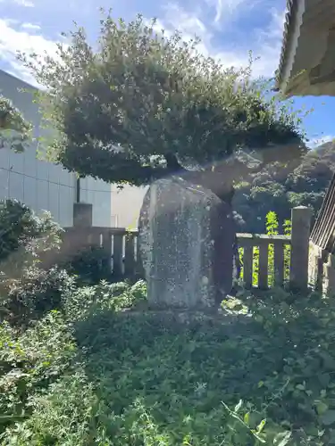 金刀比羅宮(香川県)