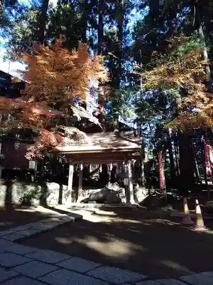 塩船観音寺の手水舎