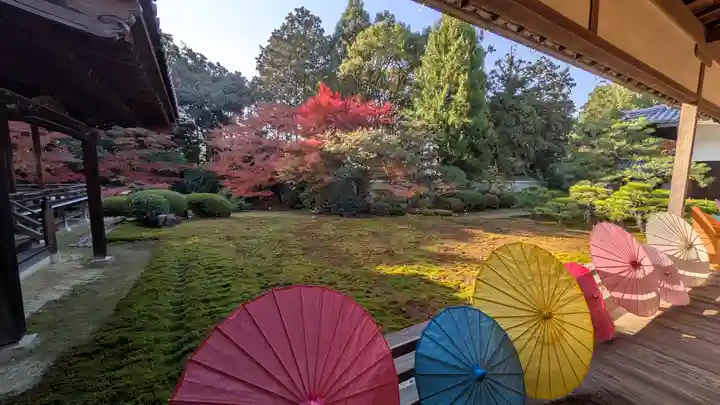 隨心院(随心院)(京都府)