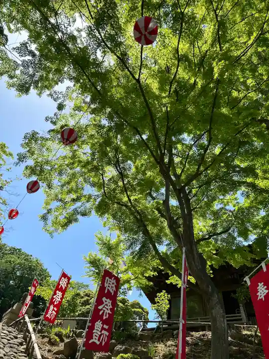温泉神社〜いわき湯本温泉〜の庭園