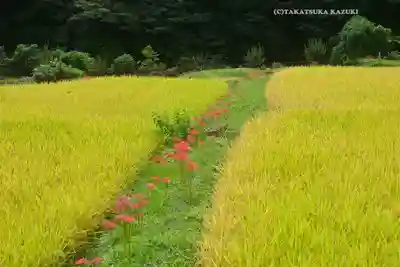 日向神社(神奈川県)