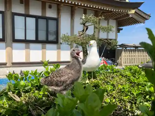 蕪嶋神社(青森県)