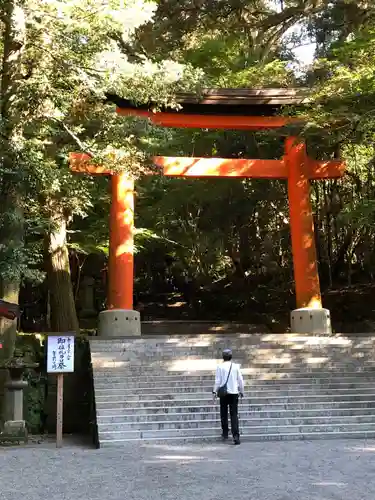 宇佐神宮の鳥居