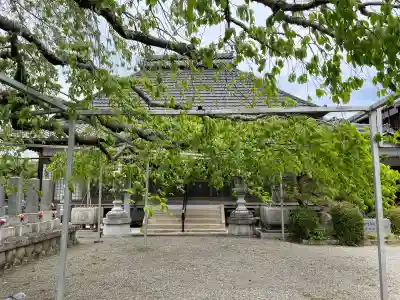 大福寺の{uncategorized: "未分類", other: "その他", undefined: "問題あり", building: "その他建物", grave: "お墓", sacred_gate: "鳥居", guardian: "狛犬", statue: "像", buddha: "仏像", history: "歴史", nature: "自然", garden: "庭園", animal: "動物", pagoda: "塔", temizu: "手水舎", mountain_gate: "山門・神門", sanctuary: "本殿・本堂", subordinate: "末社・摂社", art: "芸術", scenery: "景色", jizo: "地蔵", ema: "絵馬", goshuin: "御朱印", omikuji: "おみくじ", items: "授与品その他", amulet: "お守り", goshuincho: "御朱印帳", eats: "食事", festival: "お祭り", votive_dance: "神楽", shichigosan: "七五三参", wedding: "結婚式", experience: "体験その他", initially: "初詣", around: "周辺", anti_infection: "感染症対策"}