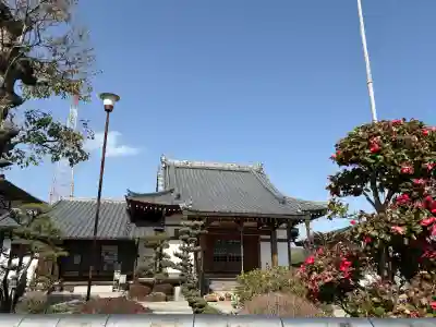 寿宝寺の{uncategorized: "未分類", other: "その他", undefined: "問題あり", building: "その他建物", grave: "お墓", sacred_gate: "鳥居", guardian: "狛犬", statue: "像", buddha: "仏像", history: "歴史", nature: "自然", garden: "庭園", animal: "動物", pagoda: "塔", temizu: "手水舎", mountain_gate: "山門・神門", sanctuary: "本殿・本堂", subordinate: "末社・摂社", art: "芸術", scenery: "景色", jizo: "地蔵", ema: "絵馬", goshuin: "御朱印", omikuji: "おみくじ", items: "授与品その他", amulet: "お守り", goshuincho: "御朱印帳", eats: "食事", festival: "お祭り", votive_dance: "神楽", shichigosan: "七五三参", wedding: "結婚式", experience: "体験その他", initially: "初詣", around: "周辺", anti_infection: "感染症対策"}