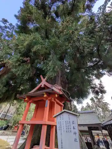 春日大社(奈良県)