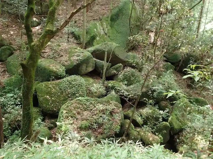天乃石立神社の自然