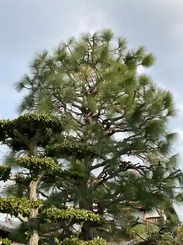 善福寺(兵庫県)
