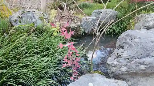 天龍寺(京都府)