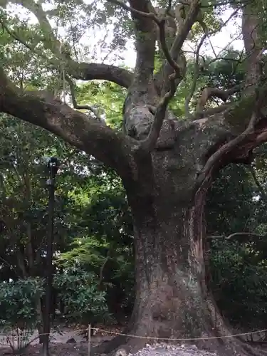月夜見宮（豊受大神宮別宮）(三重県)