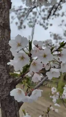 武蔵第六天神社(埼玉県)