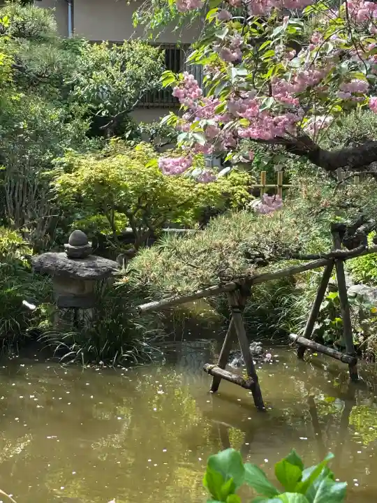 蟠龍寺(東京都)