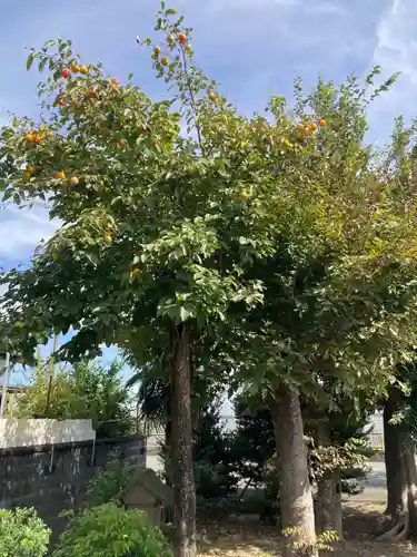 宗真寺(神奈川県)