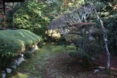 桂春院のその他建物