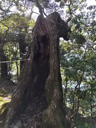 大崎寺(滋賀県)